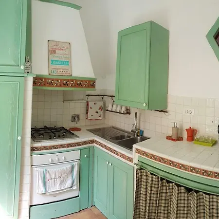 Saint Peter S Roof Roma